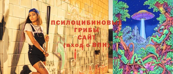 дмт Арсеньев