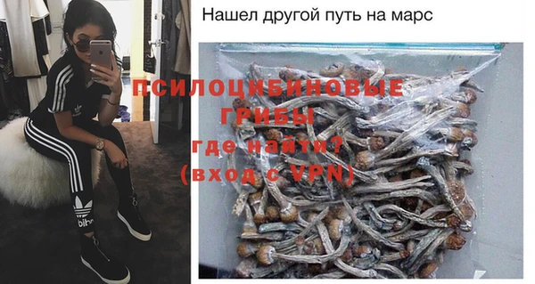 дмт Арсеньев