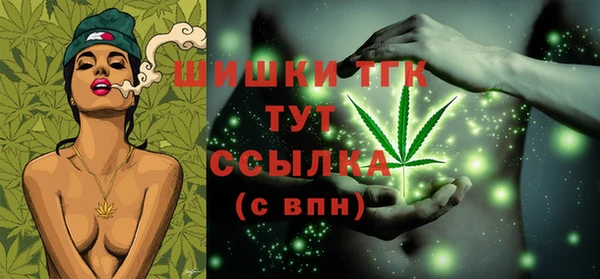 дмт Арсеньев
