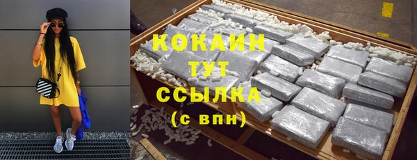 дмт Арсеньев